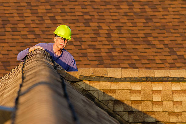 Best Flat Roof Repair Services  in Lasalle, IL
