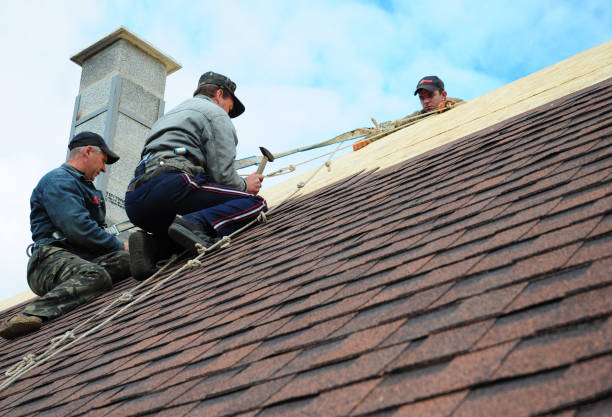 Best Storm Damage Roof Repair  in Lasalle, IL