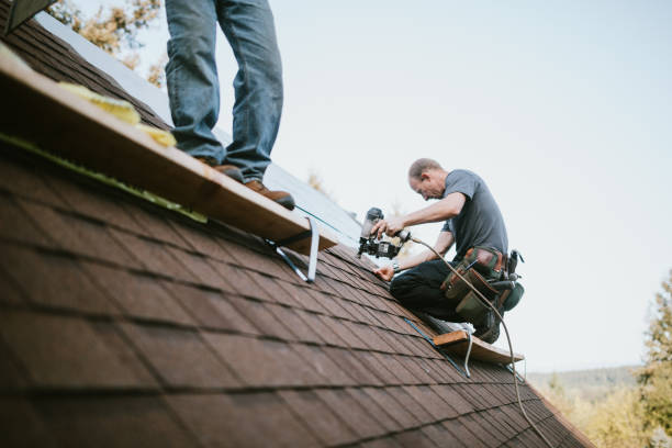 Quick and Trustworthy Emergency Roof Repair Services in Lasalle, IL